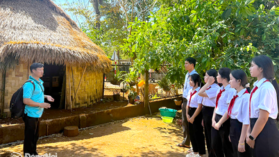មនុស្សម្នាក់ដែលផ្សព្វផ្សាយសេចក្តីស្រឡាញ់ចំពោះព្រៃឈើ។