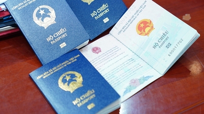 If I submit my passport application before July 1, 2026, do I need to reapply according to the new regulations?