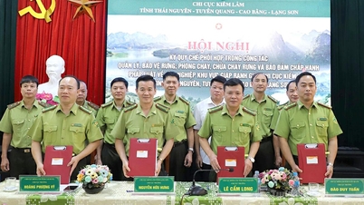 Empat wilayah menandatangani perjanjian mengenai penyelarasan pengurusan dan perlindungan hutan di kawasan sempadan.