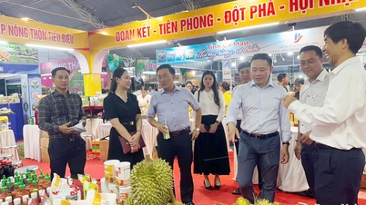 Vinte empresas da província de Dong Nai participaram da promoção comercial na Feira Comercial do Festival de Hue 2026.