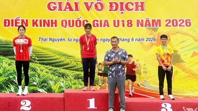 National U18 Athletics Championships: Thai Nguyen wins 8 medals.