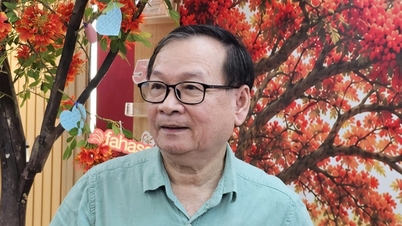 작가 응우옌 낫 안이 영화화될 예정인 다섯 작품을 공개하며 놀라운 사실들을 밝힌다.