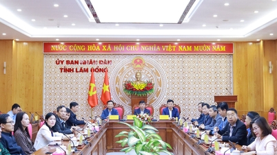 มุ่งมั่นแข่งขันอย่างเป็นรูปธรรมเพื่อบรรลุการเติบโตสองหลักอย่างยั่งยืน