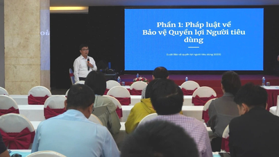 Training on consumer protection and multi-level marketing business practices.