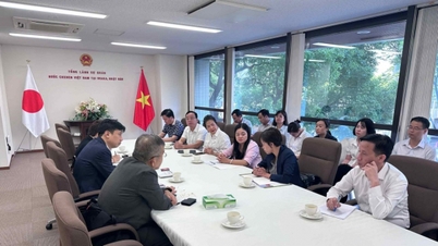 Thai Nguyen çayı, Japon çay endüstrisinin geliştirilmesindeki deneyimlerden yararlanarak yeni bir yön arıyor.