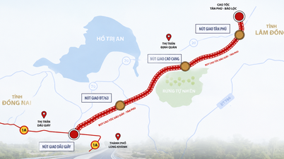 Le ministère de la Construction a demandé à la province de Dong Nai de céder la totalité du terrain destiné à l'autoroute Dau Giay - Tan Phu avant le 30 juin.