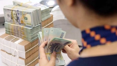 Thị trường tiền tệ trước những biến số mới