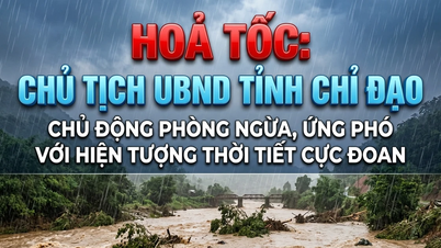 URGENT: The Chairman of the Provincial People's Committee directs proactive prevention and response to extreme weather phenomena starting from June 14th.