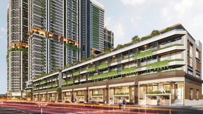 Bcons memperoleh projek Thuan An 2 daripada Phat Dat dalam perjanjian bernilai lebih 3,000 bilion VND.