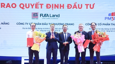 Zona perdagangan bebas: Mesin pertumbuhan baru untuk Da Nang.