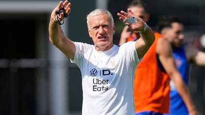 Træner Didier Deschamps er "irriteret" over to stjerner på det franske landshold.