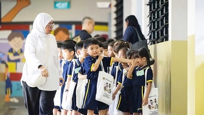 Penuaan penduduk di Asia: