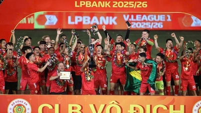 V-League and contrasting colors (*): Will the ball roll to the end, and will faith remain?
