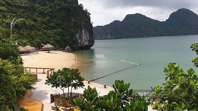Pantai-pantai Vietnam diprediksi akan masuk dalam daftar pantai terindah di dunia pada tahun 2026.