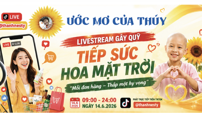 Mega livestream đặc biệt: Mua hàng vui giá hời, nhận quà, tiếp sức 'chiến binh hoa mặt trời'