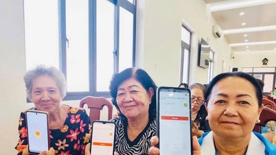 Kota Ho Chi Minh: Implementasi model "Zona Khusus Digital - Pemerintahan Digital - Pariwisata Cerdas" di Zona Khusus Con Dao.