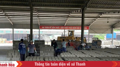 Desarrollando la industria de servicios en Thuong Xuan