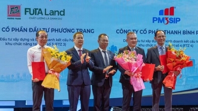 Da Nang mempromosikan zona perdagangan bebas pertama di Vietnam.