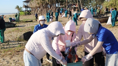 Jóvenes de Da Nang unen fuerzas para proteger el medio ambiente marino.