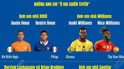 Faits intéressants concernant les 8 paires de frères qui participeront à la Coupe du monde 2026.