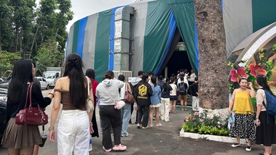 Apa yang membuat Sirkus Taman Gia Dinh begitu ramai dan dipenuhi antrean panjang orang?