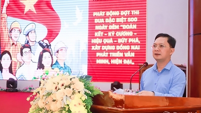 Phuoc Long Ward نے دوسری سہ ماہی کے لیے حالات حاضرہ کی بریفنگ اور موضوعاتی بحث کی۔