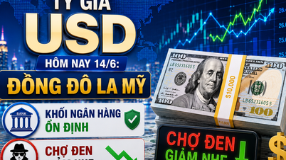 Tỷ giá USD hôm nay 14/6: Đồng Đô la Mỹ ổn định ở khối ngân hàng, chợ đen giảm nhẹ