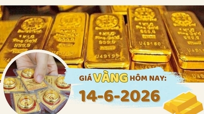 Giá vàng hôm nay 14-6: Nhà đầu tư nghiêng về kịch bản giảm
