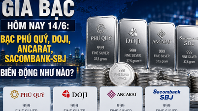 Harga perak hari ini (14 Juni): Bagaimana fluktuasi harga perak di Phu Quy, Doji, Ancarat, dan Sacombank-SBJ?