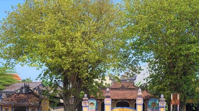 Pekan lama Bao Vinh yang tenang