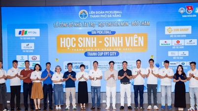 331 atletas competiram no Torneio Estudantil de Pickleball da Cidade de Da Nang de 2026.