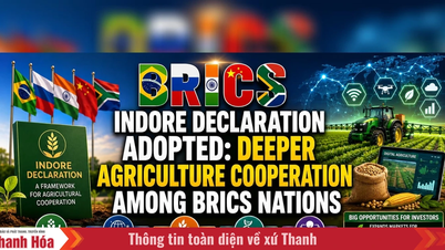 BRICS neemt de Verklaring van Indore aan, die grootschalige digitalisering van de landbouw bevordert.