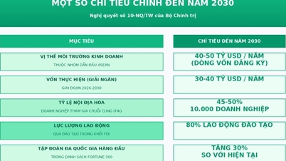 Yabancı yatırımlarla ekonomi geliştirme perspektifinden hareketle Vietnam'ın sanayi sektörünü yükseltmek.