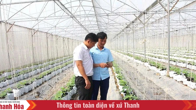 सहकारी सदस्यों के लिए डिजिटल ज्ञान और कौशल में सुधार पर ध्यान केंद्रित करें।