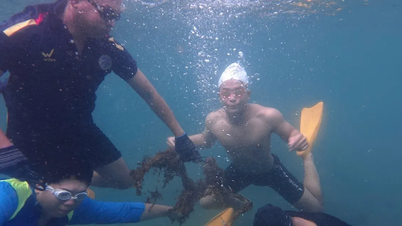 Buceo en Son Tra para retirar redes abandonadas y recoger basura del fondo marino.