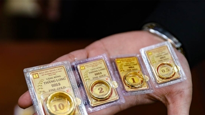 Gold prices fluctuate wildly; EVN's business results are a hot topic.