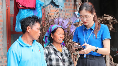 Mobile carriers are racing to provide better support for mobile users.