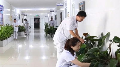 Nơi “sức khỏe xanh” nảy mầm