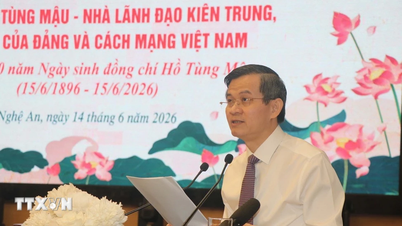 Tovarășul Ho Tung Mau - Un lider statornic și talentat al revoluției vietnameze.