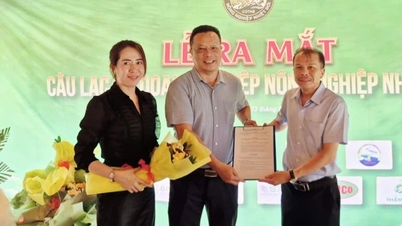 Lançamento do Clube de Negócios da Agricultura Tropical
