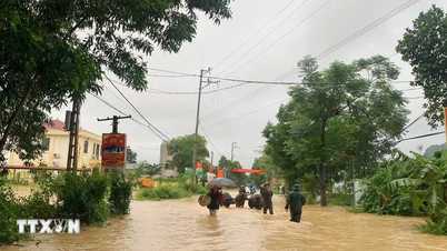 The road transport sector is focusing on responding to heavy rain and flooding in the northern provinces.