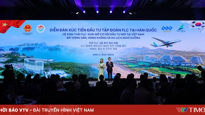 Vietnã - Coreia do Sul: Explorando novas áreas de cooperação em turismo, aviação e desenvolvimento de destinos.