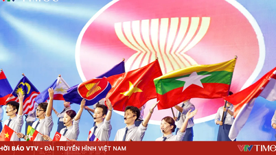 Vietnam's mark in shaping the future development of ASEAN.