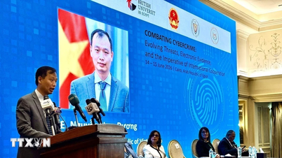Mısır, siber suçlarla mücadele konusunda Hanoi Sözleşmesi'nin uygulanması için çaba gösteriyor.
