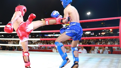Over 400 holdledere, kampsportmestre, trænere og atleter deltog i kickboxingturneringen i Gia Lai.