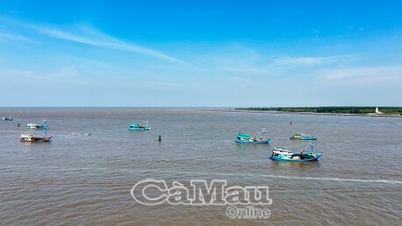 Tổ đội đoàn kết điểm tựa giữa biển khơi