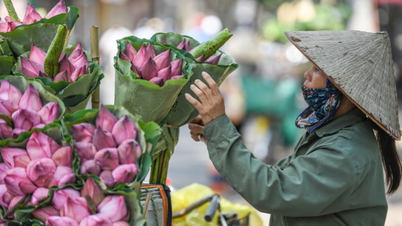 Dagens vejr (15. juni): Det nordlige Vietnam vil opleve intens varme i løbet af dagen med tordenvejr om aftenen.
