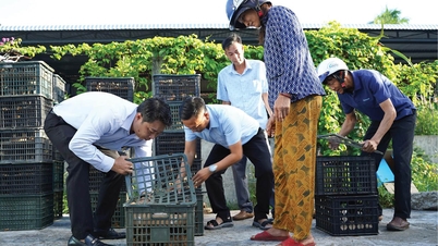 Memberikan dukungan mata pencaharian bagi masyarakat yang terkena dampak bencana alam.