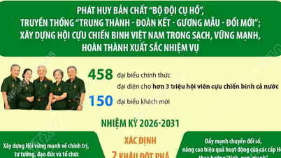 Eighth National Congress of the Vietnam Veterans Association