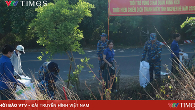 La Armada y estudiantes de Da Nang unen fuerzas para limpiar la playa de Son Tra.
